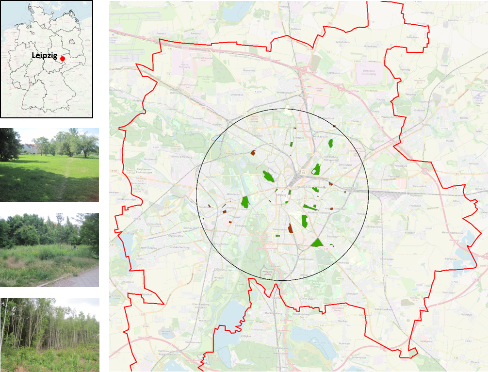 Map of the city of Leipzig and study sites in Leipzig within a 5 km radius from the city centre. We assessed ecosystem service use in 18 urban parks (green) and 18 urban brownfields (brown) with varying tree cover. Left column: Location of Leipzig in Germany, followed by examples of green brownfields with low, medium, high tree cover (from top to bottom). Map source: ©OpenStreetMap & contributors; Photos: J. Palliwoda